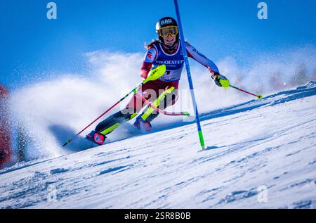 Saalbach Hinterglemm, Österreich. Februar 2025. Alpinski, Weltmeisterschaften, Slalom, Damen, Katharina Liensberger aus Österreich Skier im ersten Lauf. Quelle: Jens Büttner/dpa/Alamy Live News Stockfoto