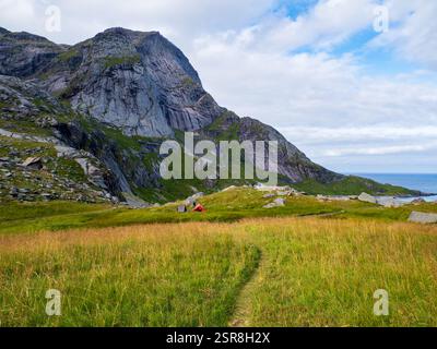 Zelte auf einer Lichtung zwischen den Bergen. Ein guter Ort zum Camping. Lofoten-Inseln, Reine, Moskenes Municipality, Norwegen. Nordeuropa Stockfoto