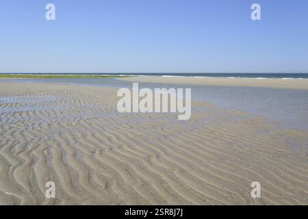 Strand bei Ebbe mit wellenförmiger Struktur, Strömung im nassen Sand, blauer Himmel, Nordsee, Norderney, Ostfriesische Inseln, Niedersachsen, Deutschland, Stockfoto