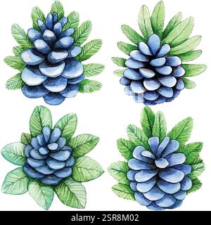 Eine handgezeichnete Aquarellabbildung von handgezeichneten Aquarell-Fichte-Kegeln, die bildgezeichnet und vektorisiert wurde. Die Illustration ist perfekt für jedes DE Stock Vektor