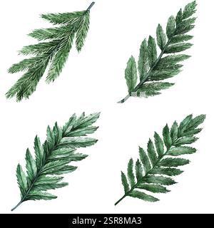 Eine handgezeichnete Aquarellabbildung von Tannenzweigen handgezeichnete Illustrationen, die bildgezeichnet und vektorisiert wurden. Die Illustration ist perfekt für jedes d Stock Vektor