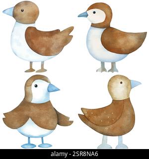 Eine handgezeichnete Aquarellillustration der Seagull Watercolor Hand-Drawn Set Collection, die nach dem Bild gezeichnet und vektorisiert wurde. Die Illustration ist perfekt Stock Vektor