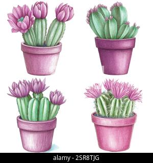 Eine handgezeichnete Aquarellabbildung von Cactus Pot Aquarellset: Handgezeichnete Illustrationen, die bildgezeichnet und vektorisiert wurden. Die Abbildung ist p Stock Vektor