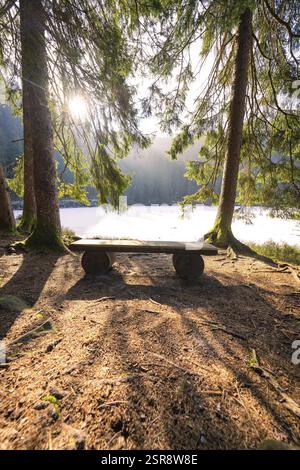Ruhige Sitzecke im Wald mit Sonnenlicht, Seeblick, beruhigende Atmosphäre, Glaswaldsee, Bad Rippoldsau-Schapbach, Stadtteil Wolfach, schwarz F Stockfoto