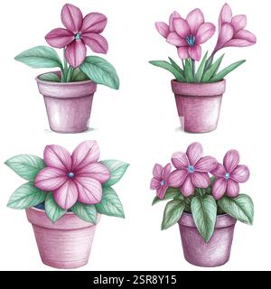 Eine handgezeichnete Aquarellabbildung eines Blumentopf-Aquarellsets, das nachgezeichnet und vektorisiert wurde. Die Illustration ist perfekt für jedes Design-Projekt Stock Vektor