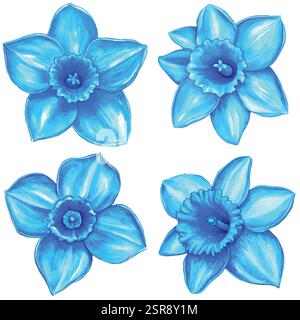 Eine handgezeichnete Aquarellabbildung der handgezeichneten Aquarellblumenkollektion, die nach dem Bild nachvollzogen und vektorisiert wurde. Die Illustration ist perfekt für einen Stock Vektor