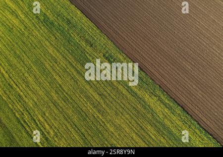 Drohnenansicht, grüne und gepflügte Felder, landwirtschaftliche Landschaft, Innviertel, Oberösterreich, Österreich, Europa Stockfoto