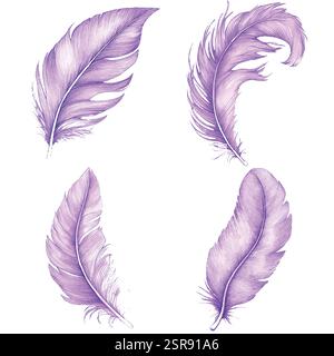Eine handgezeichnete Aquarellillustration von Watercolor Flamingo Feathers: Handgezeichnetes Set, das nachgezeichnet und vektorisiert wurde. Die Illustration ist perfekt Stock Vektor