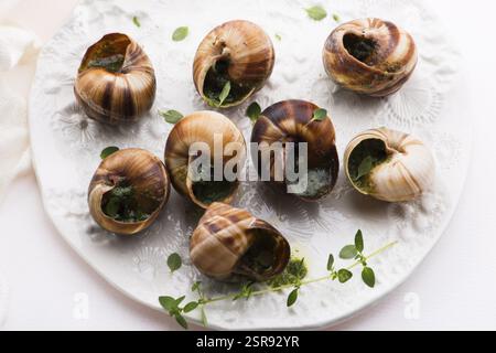 Escargot-Platte, köstliche französische Delikatessen Stockfoto