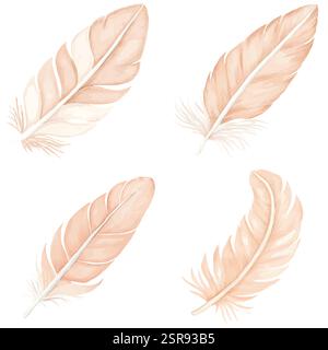 Eine handgezeichnete Aquarellillustration von Feather Aquarell handgezeichnetem Set, das nachvollziehbar und vektorisiert wurde. Die Illustration ist perfekt für jedes des Stock Vektor