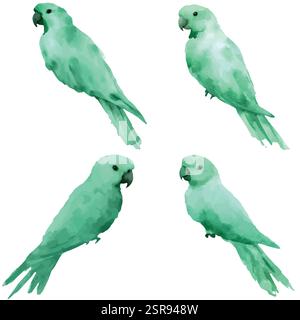 Eine handgezeichnete Aquarellabbildung von handgezeichneten Papageienaquarellen, die bildgezeichnet und vektorisiert wurde. Die Illustration ist perfekt für jedes Desi Stock Vektor