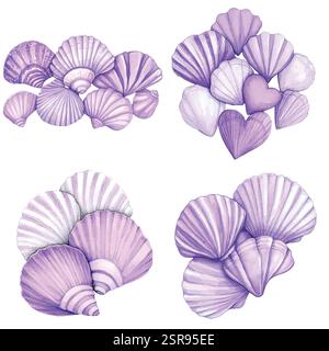 Eine handgezeichnete Aquarellabbildung der handgezeichneten Shell-Kollektion von Aquarell, die nach dem Bild nachvollzogen und vektorisiert wurde. Die Illustration ist perfekt für einen Stock Vektor