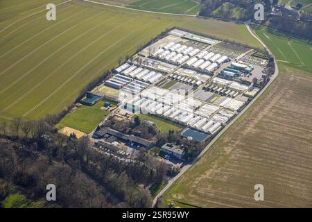 Luftaufnahme, Kindergarten Michael Schulz, Gewächshäuser, Leubeck, Heiligenhaus, Ruhrgebiet, Nordrhein-Westfalen, Deutschland Stockfoto