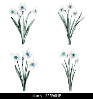 Eine handgezeichnete Aquarellabbildung von Narcissus Aquarell handgezeichnetes Illustrationskonzept, das nach dem Bild gezeichnet und vektorisiert wurde. Die Abbildung ist Stock Vektor