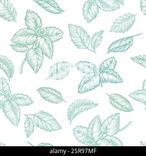Mint hinterlässt nahtloses Muster. Handgezeichnete Skizze Vektorpflanze Illustration. Natürlicher pflanzlicher Hintergrund. Stoffdesign, Geschenkpapier, Textildruck Stock Vektor