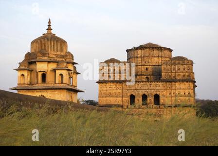 Cenotaphs, Orchha, Madhya Pradesh, Indien, Asien Stockfoto