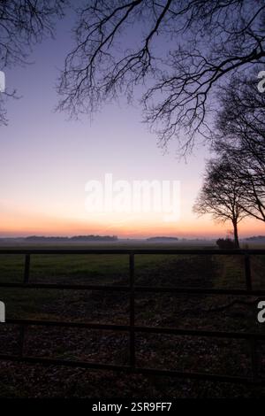 Die Sonne ist direkt unter dem Horizont, Winter, Wiese mit Bäumen und Pastellfarben am Himmel Stockfoto