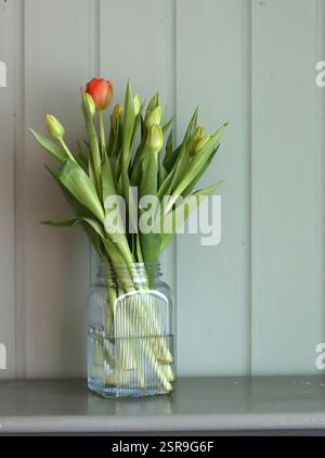 Tulpenstrauß in einer Glasvase auf einem Olivenschrank. Frühlingsblumen Nahaufnahme Foto. Muttertagsfeier-Konzept. Stockfoto