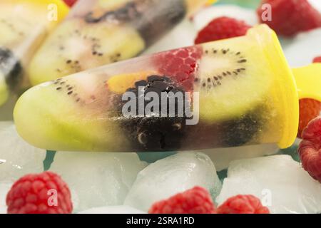 Hausgemachtes Eis Stockfoto