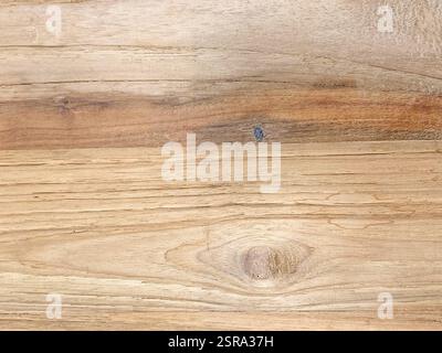 Natürlicher Holzboden Panel Textur Hintergrund Stockfoto