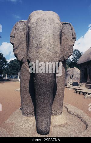 Pancha Rathas am Mamallapuram, Mahabalipuram, Tamil Nadu, Indien, Asien Stockfoto