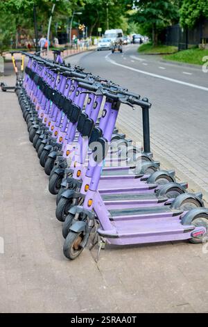 Ordentlich angeordnete violette E-Scooter auf dem Bürgersteig der Stadt. Heller, klarer Tag verbessert die städtische Umgebung. Motorroller blicken auf die Straße mit grüner Umgebung Stockfoto