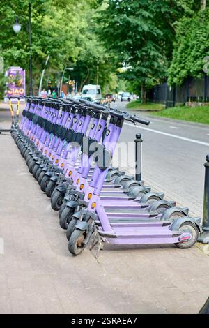 Ordentlich angeordnete violette E-Scooter auf dem Bürgersteig der Stadt. Heller, klarer Tag verbessert die städtische Umgebung. Motorroller blicken auf die Straße mit grüner Umgebung Stockfoto