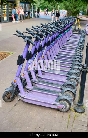Ordentlich angeordnete violette E-Scooter auf dem Bürgersteig der Stadt. Heller, klarer Tag verbessert die städtische Umgebung. Motorroller blicken auf die Straße mit grüner Umgebung Stockfoto