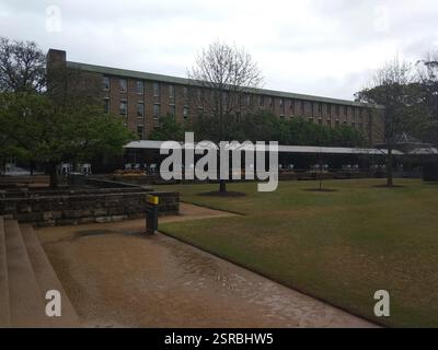 Foto des Universitätsgeländes in Sydney, Australien Stockfoto