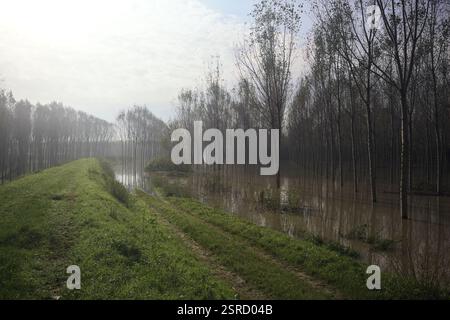 Grasbewachsener Pfad auf einem Damm, der von überfluteten Hainen in der italienischen Landschaft begrenzt wird Stockfoto