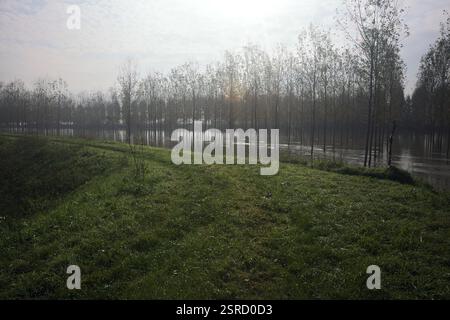 Grasbewachsener Pfad auf einem Damm, der von überfluteten Hainen in der italienischen Landschaft begrenzt wird Stockfoto