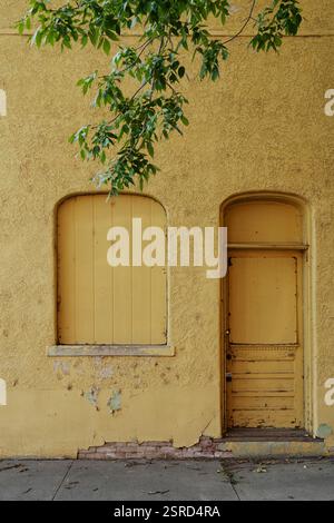 Die alte Putzfassade des alten Architekturgebäudes ist senfgelb gestrichen. Die an Bord befindliche Fenstertür hat ein gewölbtes Design. Siehe Blätter. Stockfoto