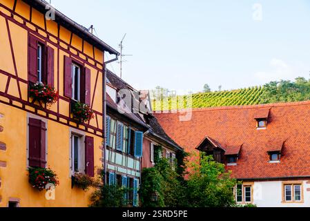 Traditionelle elsässische Architektur. Riquewihr, Sainte-Marie-aux-Mines, Colmar-Ribeauvillé, Haut-Rhin, Grand Est, Frankreich, Europa Stockfoto