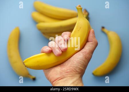 Ein Mann, der eine reife Banane in der Hand hält, über einem Haufen Bananen. Nahaufnahme. Stockfoto