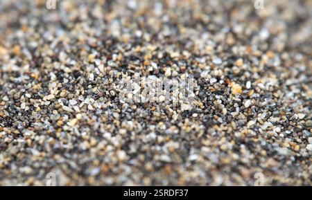 Nahaufnahme des Sandstrandes einer Düne in Maspalomas, Gran Canaria. Stockfoto