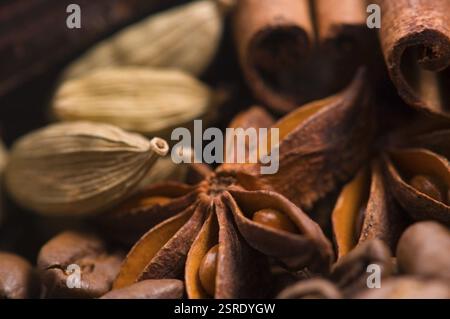 Aromaskaffee. Inhaltsstoffe. Kaffeebohnen, Anis, Vanille, Kardamon, Zimt Stockfoto