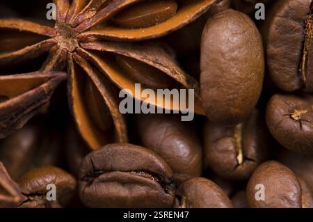 Aromaskaffee. Inhaltsstoffe. Kaffeebenen, Anis, Schokolade, Kardamon, Zimt, Zucker Stockfoto