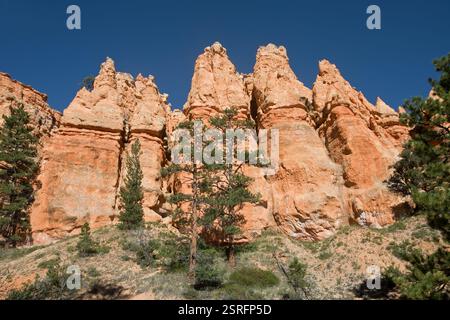 Blick vom Peek-a-Boo Trail Stockfoto