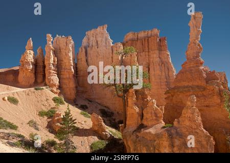 Blick vom Peek-a-Boo Trail Stockfoto