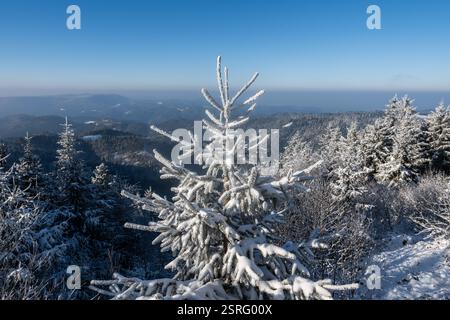 Freudenstadt, Deutschland. Februar 2025. Die Landschaft im Nationalpark Schwarzwald (Bezirk Freudenstadt) ist bei Sonnenschein schneebedeckt. Quelle: Silas Stein/dpa/Alamy Live News Stockfoto