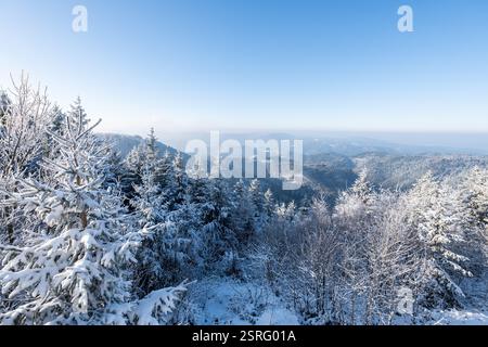 Freudenstadt, Deutschland. Februar 2025. Die Landschaft im Nationalpark Schwarzwald (Bezirk Freudenstadt) ist bei Sonnenschein schneebedeckt. Quelle: Silas Stein/dpa/Alamy Live News Stockfoto