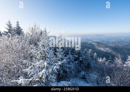 Freudenstadt, Deutschland. Februar 2025. Die Landschaft im Nationalpark Schwarzwald (Bezirk Freudenstadt) ist bei Sonnenschein schneebedeckt. Quelle: Silas Stein/dpa/Alamy Live News Stockfoto