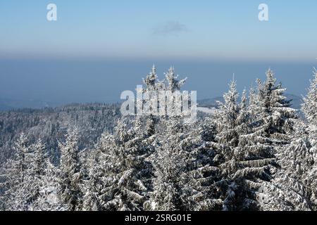 Freudenstadt, Deutschland. Februar 2025. Die Landschaft im Nationalpark Schwarzwald (Bezirk Freudenstadt) ist bei Sonnenschein schneebedeckt. Quelle: Silas Stein/dpa/Alamy Live News Stockfoto