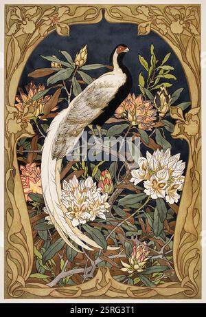 Silberfasan und Azaleen, (Silberfasan und Azäleas), Farbhalteston Aquarellillustration von Wiener Kunstprofessor Georg Sturm von Dekorativ Stockfoto