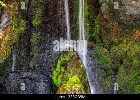 Kleiner Wasserfall auf dem Gelände des Zen-Tempels Rokuon-JI Kinkakuji (Goldener Pavillon). In Kyoto Japan Stockfoto