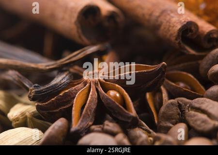 Aromaskaffee. Inhaltsstoffe. Kaffeebenen, Anis, Vanille, Kardamon, Zimt, Zucker Stockfoto