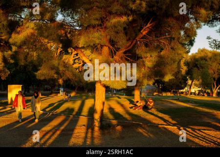 Genießen Sie einen friedlichen Sonnenuntergang am Colline du Château, wo Schatten unter entspannten Besuchern tanzen und atemberaubende Ausblicke auf die Altstadt von Nizza bieten. Stockfoto