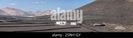 Panoramablick auf die einzigartige Weinlandschaft von La Geria in Lanzarote, Spanien am 8. Februar 2025 Stockfoto