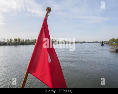 Schweizer Flagge auf einem Fluss unter klarem Himmel neben einer bewaldeten Küste, düsseldorf, rhein, deutschland Stockfoto