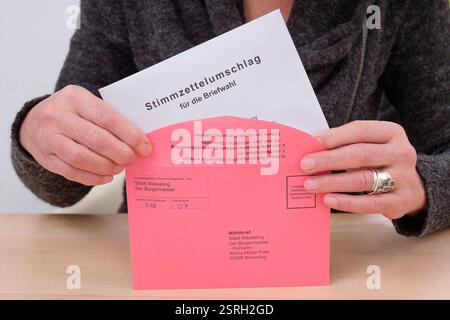 Die Frau legt Abwesenheitswahlzettel für die Briefwahl in den Stimmzettel Stockfoto